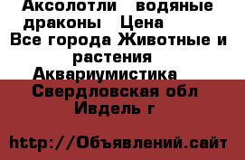 Аксолотли / водяные драконы › Цена ­ 500 - Все города Животные и растения » Аквариумистика   . Свердловская обл.,Ивдель г.